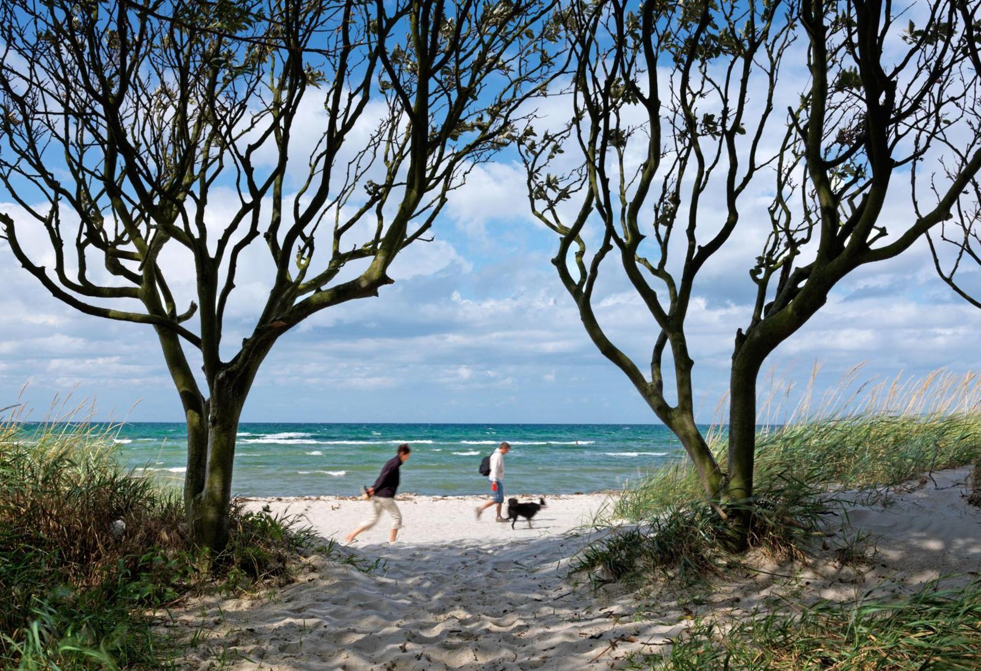 Inselhaeuser Kaltenhof Inselhaus Poel 2 外观 照片